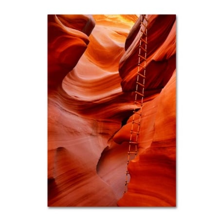 Mike Jones Photo 'Lower Antelope Canyon Ladder' Canvas Art,22x32